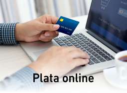 Plata facturi online